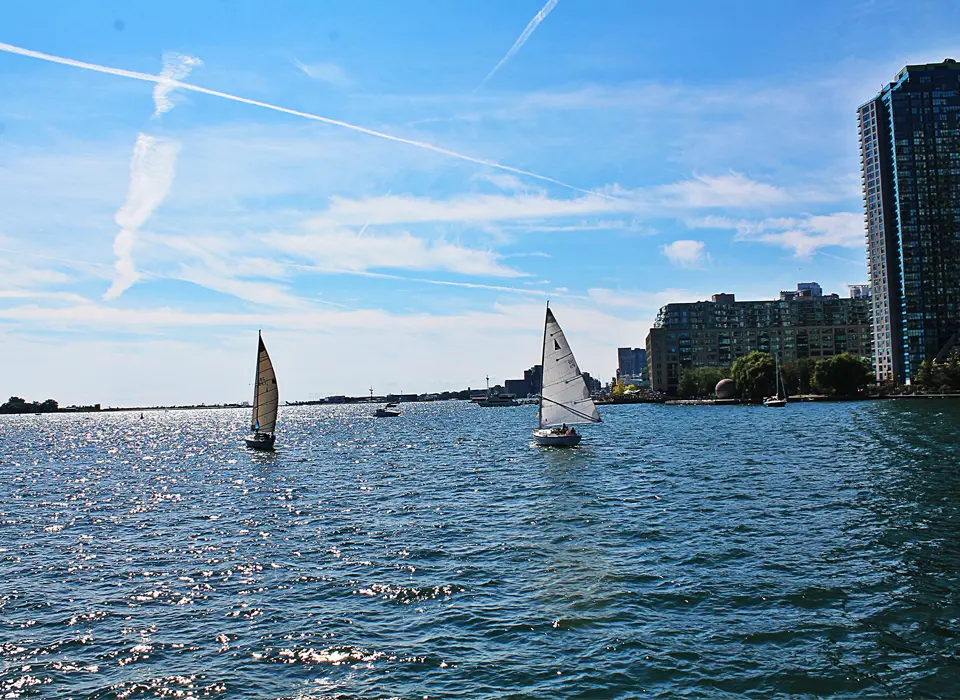 What are the Differences between A Test Bench and A Electrolyser System