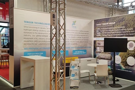 The Role and Constraints of Green Hydrogen in the Carbon Neutrality Era